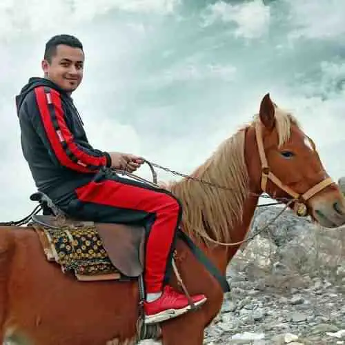 ببر مازرون دروم